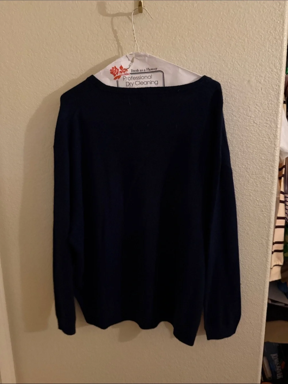 J. Crew V-Neck Sweater in Navy Blue